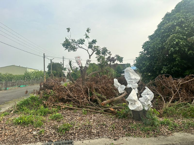 近佳里雙面路空地出租,台南市西港區下宅子段