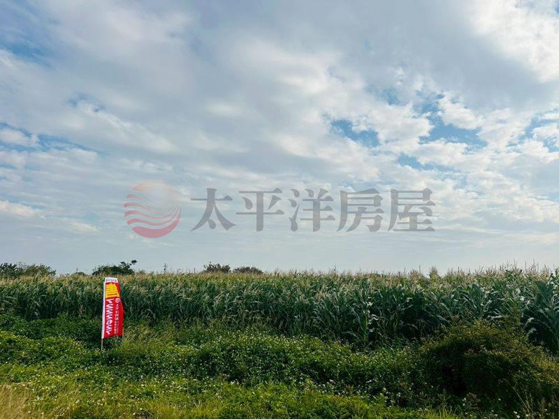 學甲中洲路大面寬農地,台南市學甲區西進段