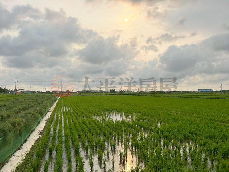 西港近後營雙面路農地,台南市西港區金砂段