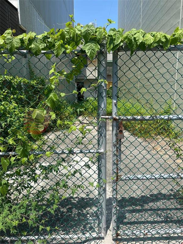 佳里近果菜市場美建地,台南市佳里區九龍段