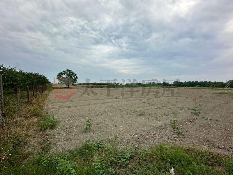 後庄大路邊小資美田,台南市佳里區後庄段