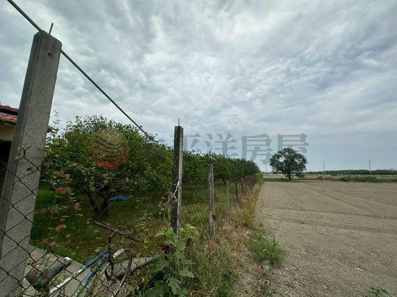 後庄大路邊小資美田,台南市佳里區後庄段