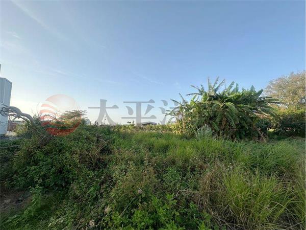 漚汪水岸旁雙面路美建地,台南市將軍區國中段