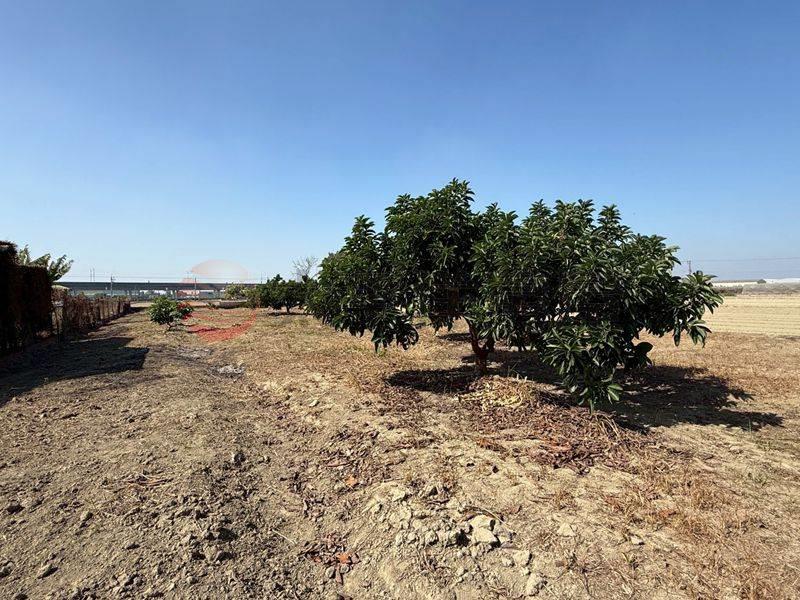 阿蓮近高鐵沙崙站農地,高雄市阿蓮區石案潭段