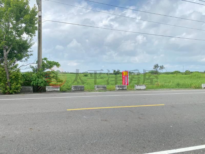 七股竹橋國小大路邊農地,台南市七股區竹橋段
