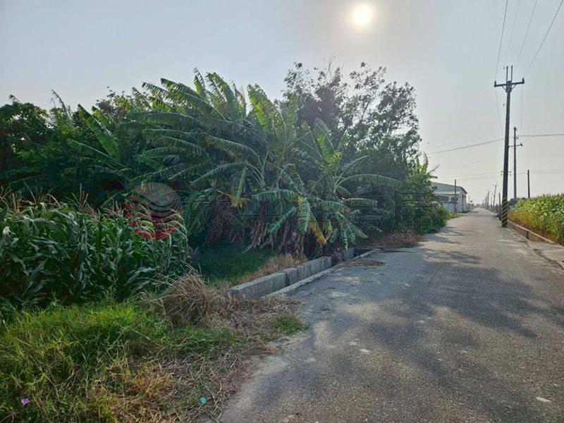 西港大塭寮2分4農地,台南市西港區大塭寮段