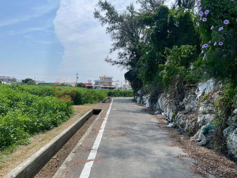 西港大竹林村莊旁農地,台南市西港區劉厝段