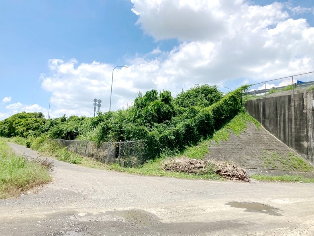 善化茄拔段農田,台南市善化區茄拔段