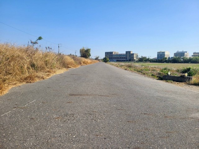 七股双面路農地,台南市七股區竹子港段