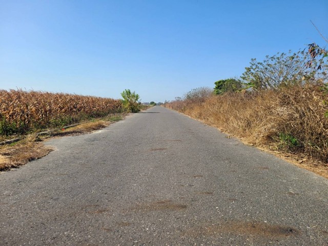 七股双面路農地,台南市七股區竹子港段