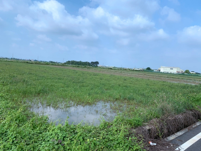 竹子港6米路美田,台南市七股區竹子港段