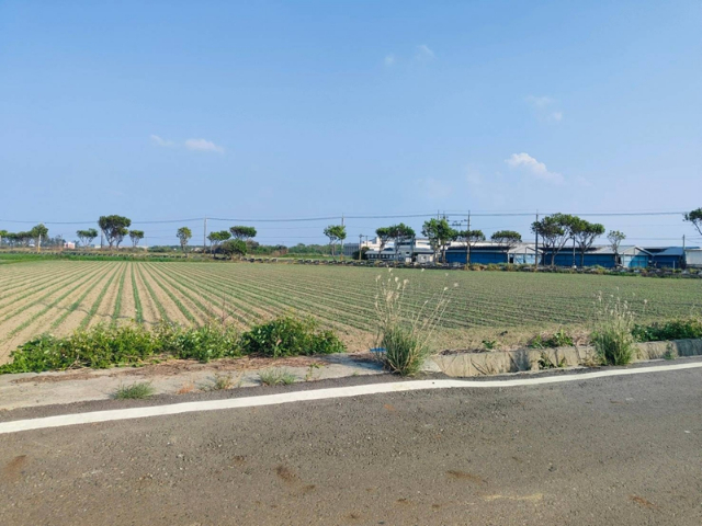 鹽水近文昌國小1分6,台南市鹽水區孫厝寮段