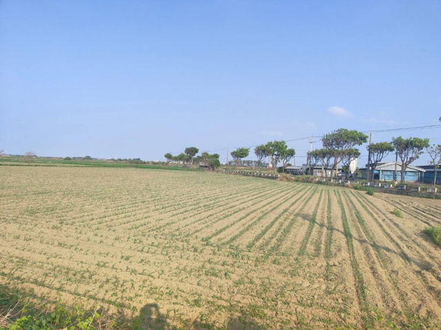 鹽水近文昌國小1分6,台南市鹽水區孫厝寮段