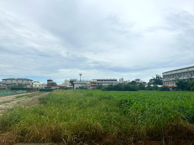 佳興國小旁農地,台南市佳里區佳化段