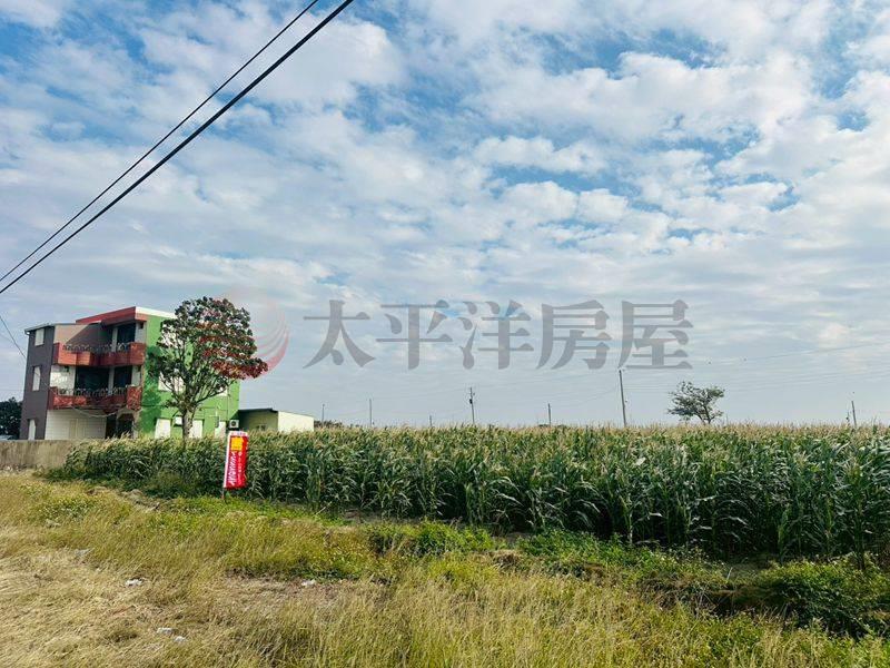 學甲中洲路三面路農地,台南市學甲區西進段