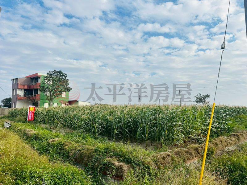 學甲中洲路三面路農地,台南市學甲區西進段