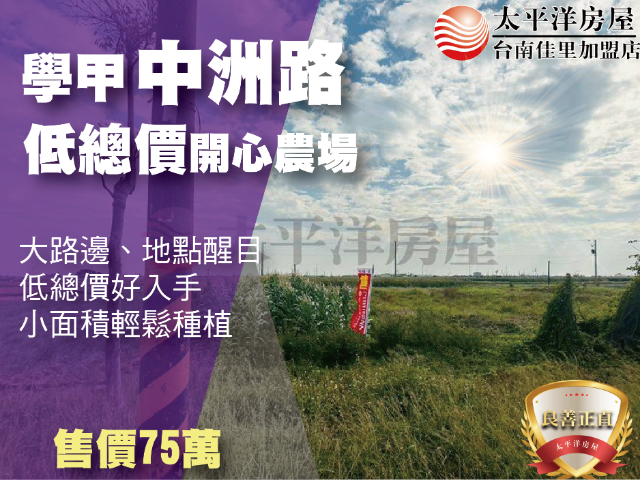 學甲中洲路低總價開心農場,台南市學甲區西進段