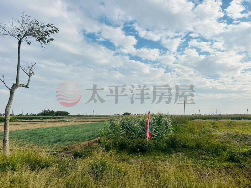 學甲中洲路低總價開心農場,台南市學甲區西進段