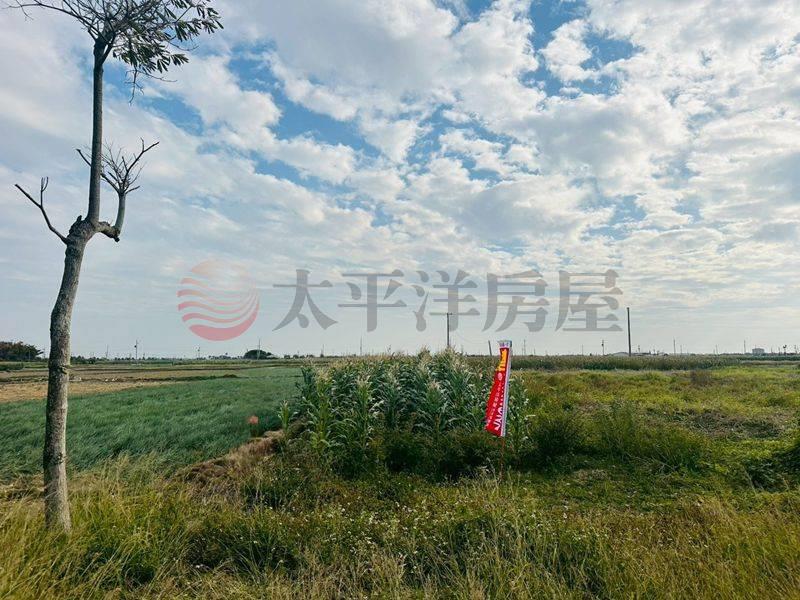 學甲中洲路低總價開心農場,台南市學甲區西進段