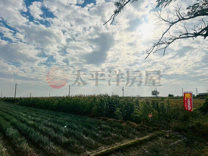 學甲中洲路低總價開心農場,台南市學甲區西進段