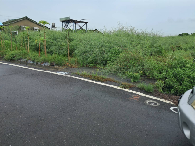 七股竹橋田地,台南市七股區竹橋段