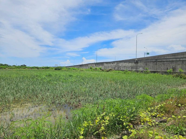 北門61快速道路旁農地,台南市北門區溪底寮段