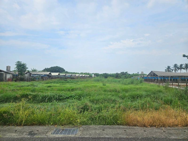 佳里持分農地,台南市佳里區龍安段