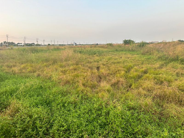 佳里庄邊休閒農地,台南市佳里區港墘段