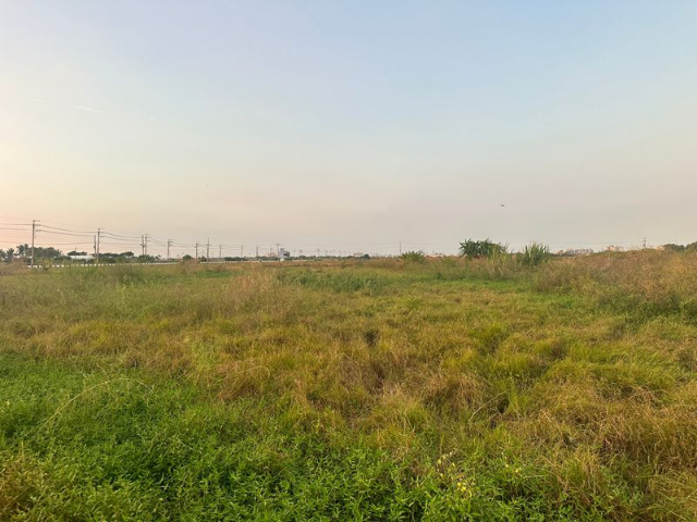 佳里庄邊休閒農地,台南市佳里區港墘段