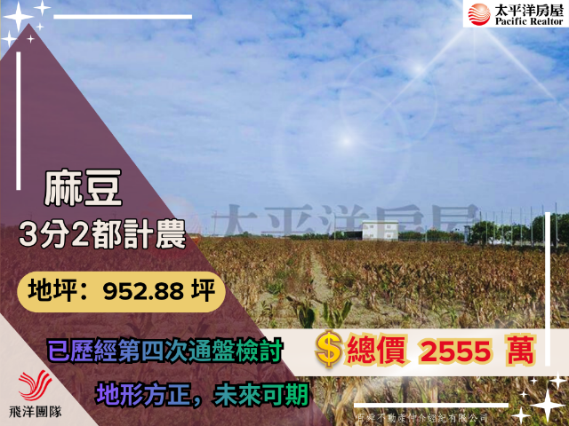 麻豆3分2都計農,台南市麻豆區埤頭段