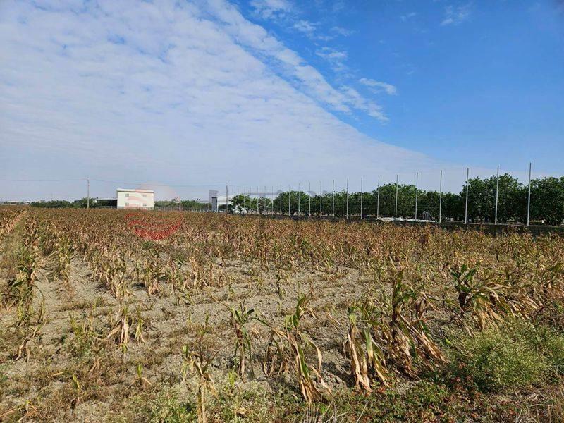 麻豆3分2都計農,台南市麻豆區埤頭段