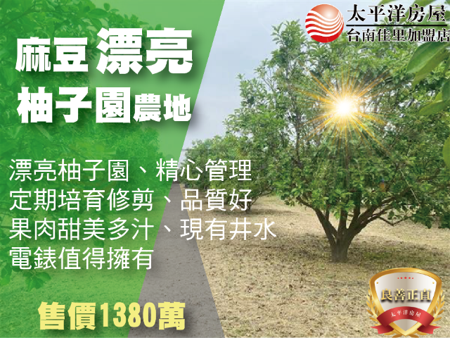 麻豆文旦柚子園,台南市麻豆區北勢寮段