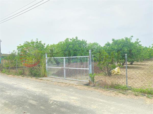 麻豆文旦柚子園,台南市麻豆區北勢寮段