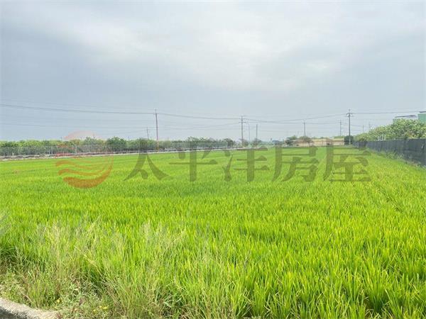 麻豆文旦柚子園,台南市麻豆區北勢寮段