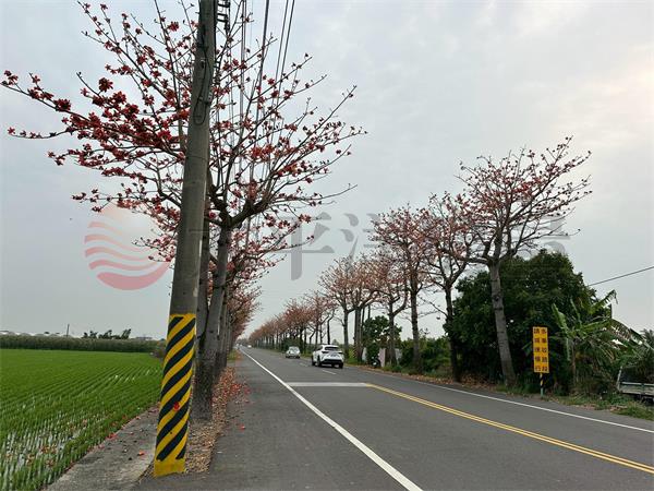 佳里近學區豪豪宅美建地,台南市佳里區佳南段