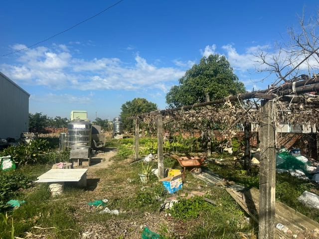 西港雙面路潛力建地,台南市西港區新樂段