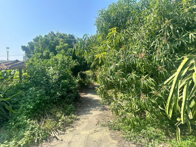 佳里子龍豪宅建地,台南市佳里區子龍段