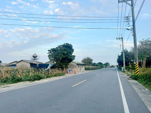 七股後港大路邊水電田,台南市七股區後港東段