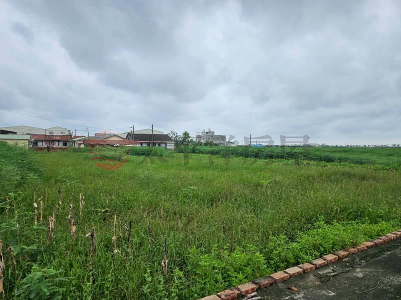 鹽水樂活小農田,台南市鹽水區番子厝段