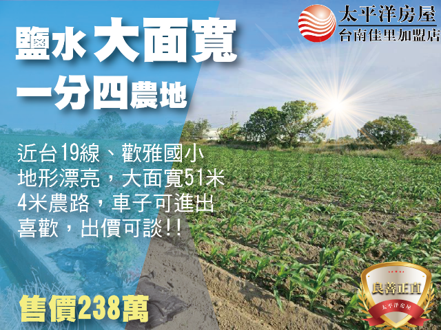 鹽水51米面寬農地,台南市鹽水區番子厝段