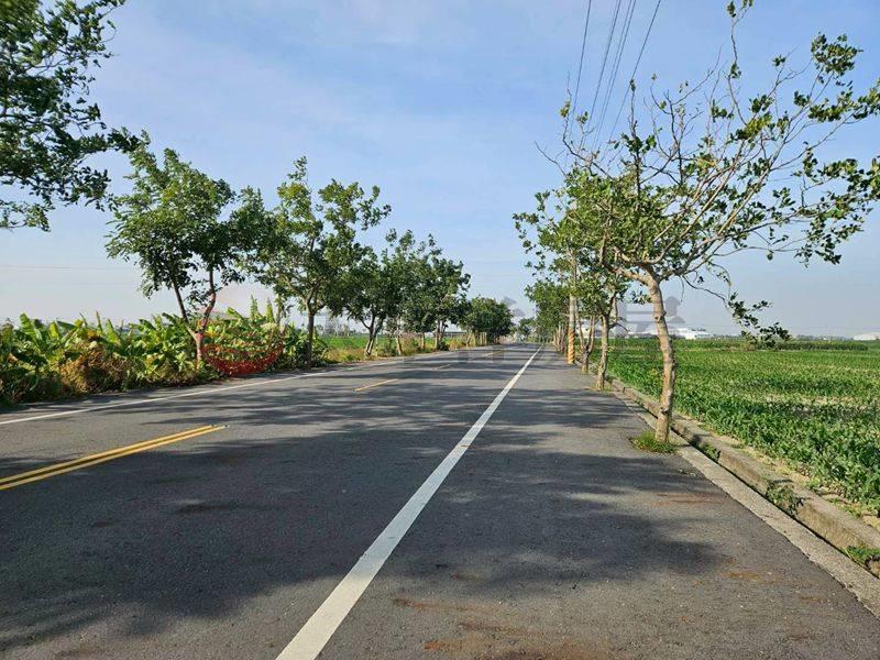 鹽水51米面寬農地,台南市鹽水區番子厝段