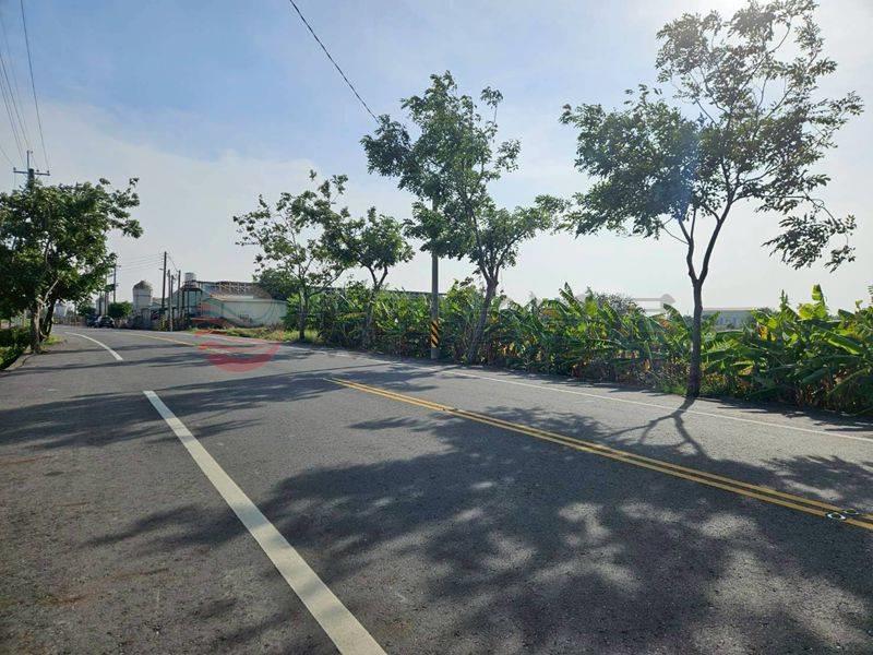 鹽水51米面寬農地,台南市鹽水區番子厝段