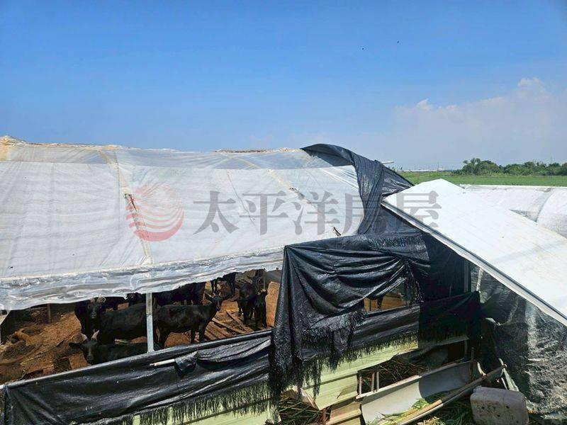 巷口段清幽低總價美田,台南市將軍區巷口段