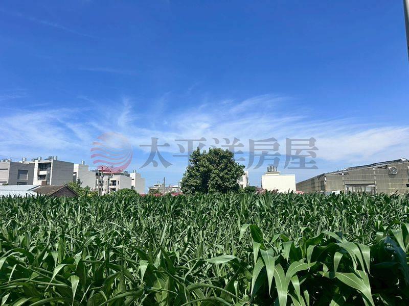 同安寮雙面路農地,台南市佳里區同安寮段