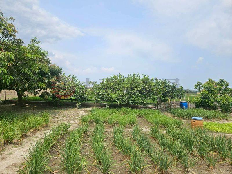 佳里5分農地,台南市佳里區延平段