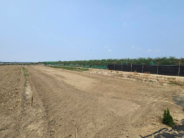 佳里大路邊農地,台南市佳里區港墘段