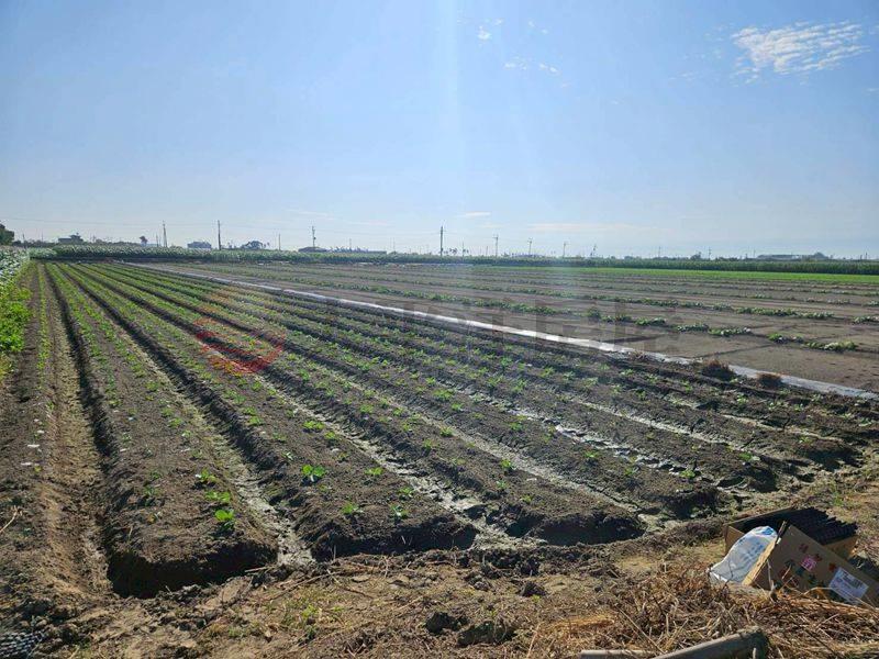 將軍6米路農地,台南市將軍區漚汪段