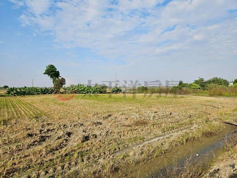 白河低總價農田,台南市白河區秀祐段