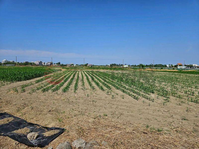 近宅港國小一般農,台南市學甲區平東段