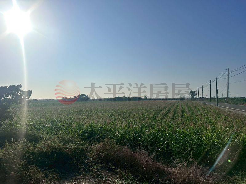 營頂村莊旁大面積農地,台南市佳里區禮化段